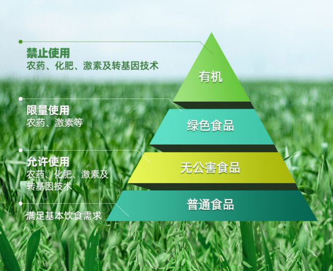 经销商如何优选赛道抢占百亿级市场先机麻将胡了试玩中国有机燕麦第一品牌：(图6)