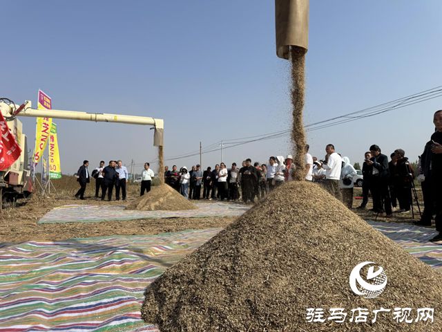 有机融合 芝麻机收喜获成功麻将胡了驻马店：良种良法(图1)