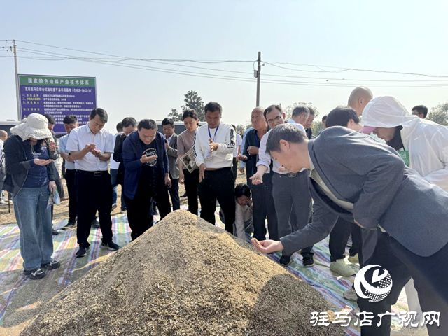 有机融合 芝麻机收喜获成功麻将胡了驻马店：良种良法(图3)