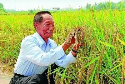 为应对饥荒从此立下“三不”吃饭原则麻将胡了试玩毛主席说最对不起农民(图15)